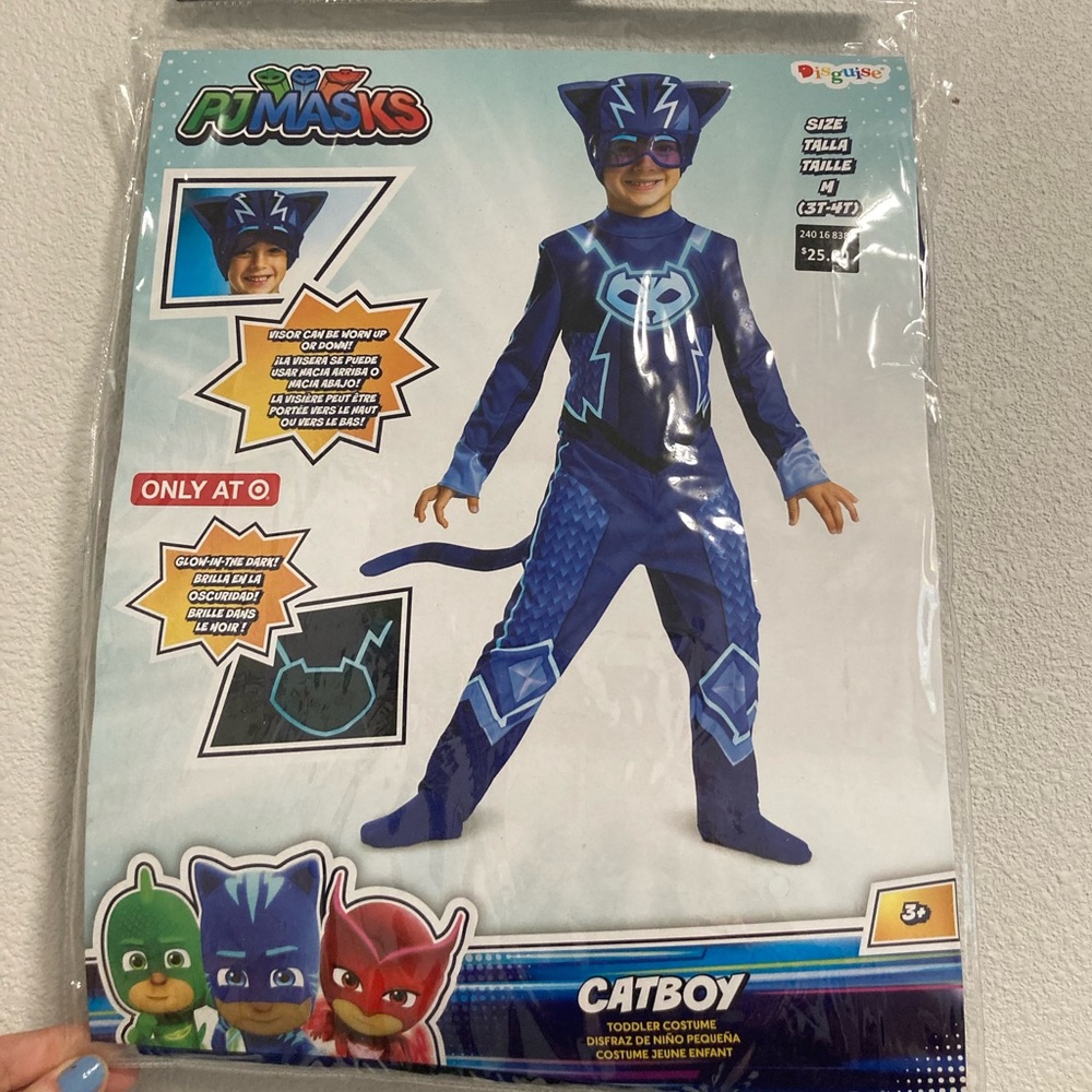 PJ Masks Cat Boy costume